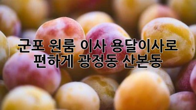 군포 원룸 이사? 용달이사로 편하게! (광정동, 산본동)