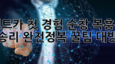 🚗 렌트카 첫 경험? 순창 복흥면 상송리 완전정복! 꿀팁 대방출 🍯