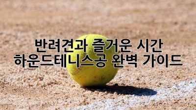 반려견과 즐거운 시간! 하운드테니스공 완벽 가이드