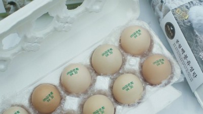 🥚 초란가격 득템! 꿀팁 후기 & 영양 가이드🍯