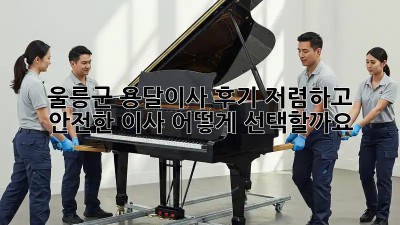 울릉군 용달이사 후기: 저렴하고 안전한 이사, 어떻게 선택할까요?